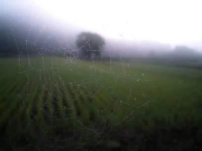 Bilet na koncert — demo 1 - zdjęcie 3