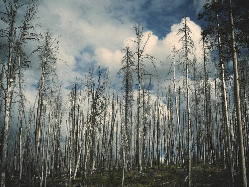 Sweter wełniany — demo 9