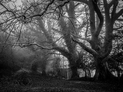Torebka skórzana — demo 10 - zdjęcie 3