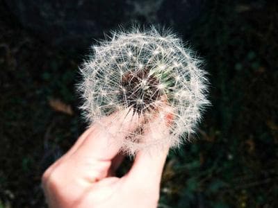 Oddam ubrania dziecięce — demo 2 - zdjęcie 1