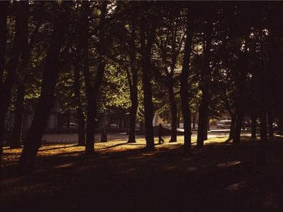 Opryskiwacz — demo 9 - zdjęcie 2