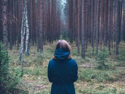 Rower górski — demo 1 - zdjęcie 1