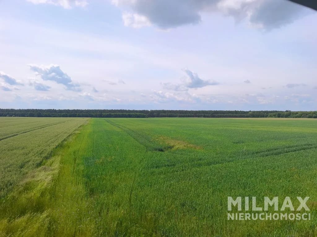 Duża działka rolna 16,45 ha – gmina Mieszkowice