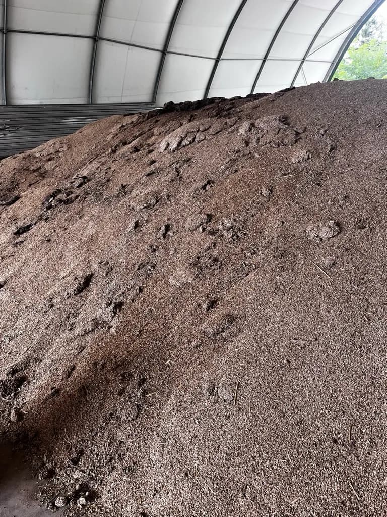 Sprzedam zboże niepełnowartościowe (żyto) na pellet, do gorzelni, biogazowni.